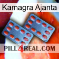 Kamagra Ajanta 05